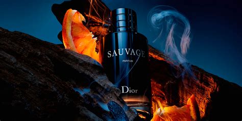 cual es el mejor sauvage de dior|dior sauvage for men superdrug.